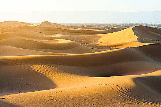 撒哈拉沙漠,摩洛哥,沙丘,日落