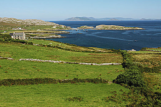 绿色,土地,小,农舍,海岸线,半岛,科克郡,爱尔兰