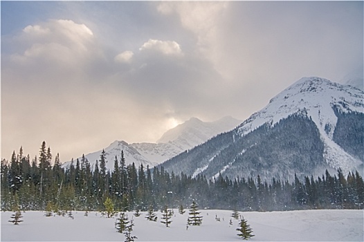 加拿大,落基山脉,冬天