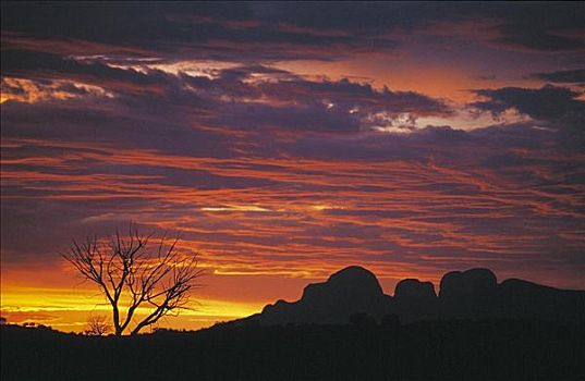 日落,上方,奥尔加,山,红色,中心,北领地州,澳大利亚,世界遗产