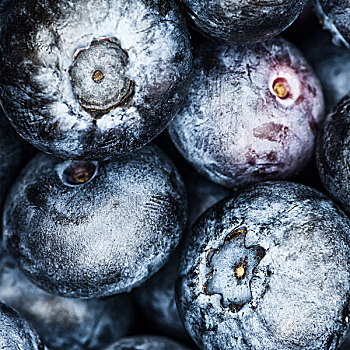 蓝莓,水果,食物