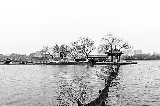 冬日大明湖