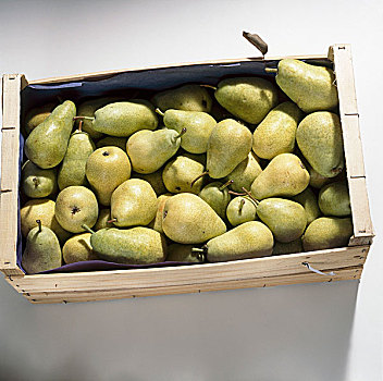 板条箱,梨,品种