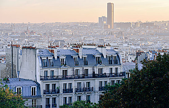 法国,巴黎,山,全景,屋顶