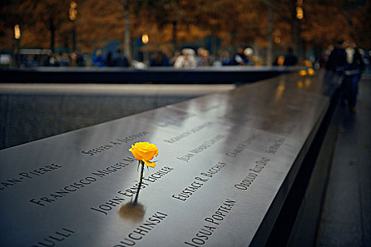 纽约,911事件,纪念,玫瑰,十一月,曼哈顿,人口,城市,美国