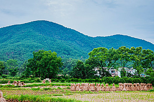 山岭风光