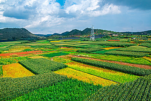 田园乡村