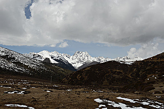 雪山草甸牛场