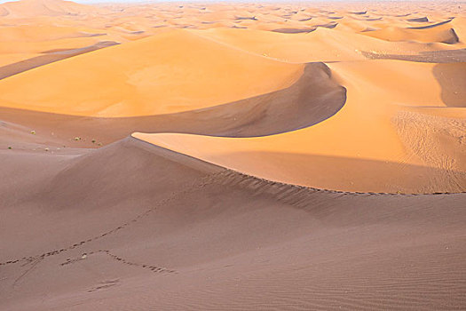 摩洛哥,撒哈拉,沙丘,宽,区域