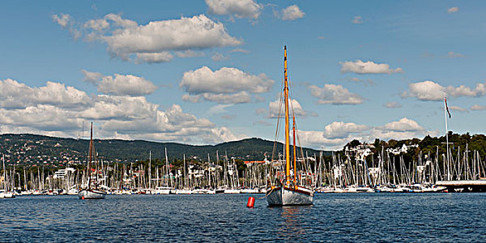 帆船,港口,奥斯陆,挪威