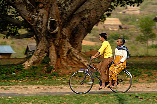 女人,乘,自行车,宾德雅,城镇,南方,掸邦,缅甸