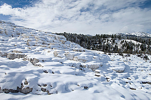 猛玛温泉,雪,黄石国家公园,怀俄明,美国