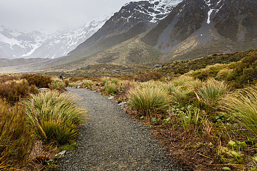 湖,库克山国家公园,新西兰