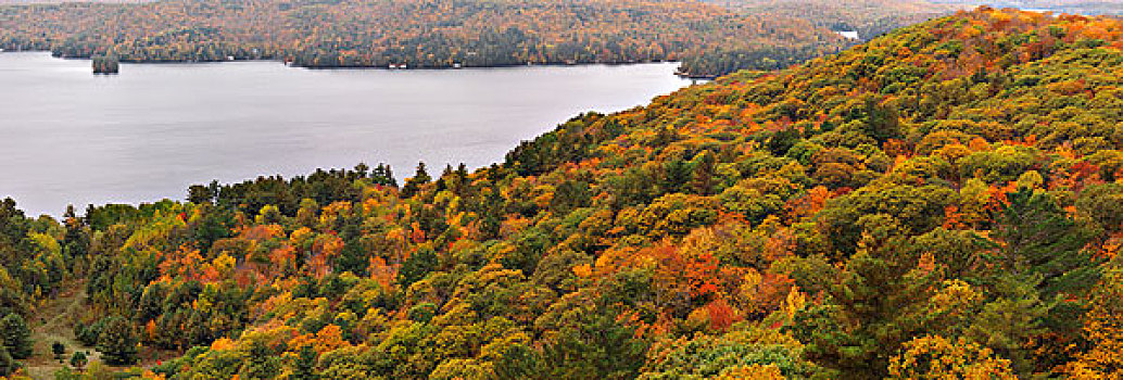 全景,秋天,景色,湖,湾,山,遮盖,混合,彩色,树林,多西特,安大略省,加拿大,北美