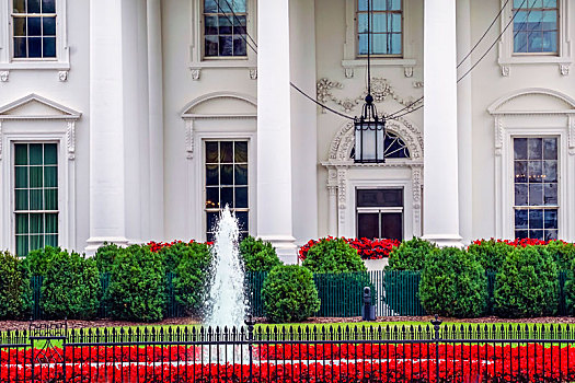 白宫,门,红花,吊灯,宾夕法尼亚,华盛顿特区