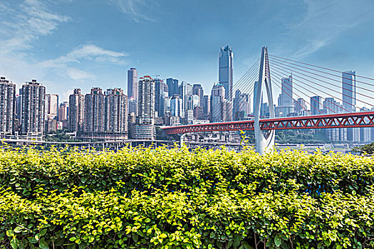 現代,全景,天際線,重慶