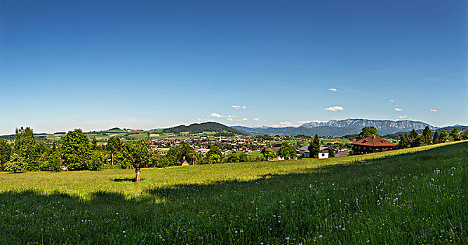 奥地利,上奥地利州,萨尔茨卡莫古特,圣徒,风景,高山,山麓,全景