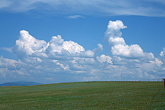 新疆伊犁草原