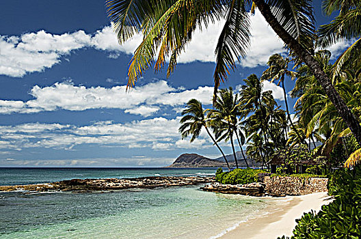 夏威夷,瓦胡岛,乐园,小湾,海滩