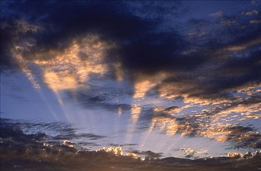 云,日落,南非