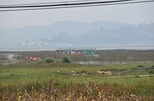 贵州草海风光,威宁,草海,木船,栖息地,海,淡水湖,渔船,湖水,湖泊,湿地,湿地高原,秋色,船只,草,贵州风光,风光,高原湖泊,黑颈鹤,国家一级保护鸟类,鸟类,海鸟,花海