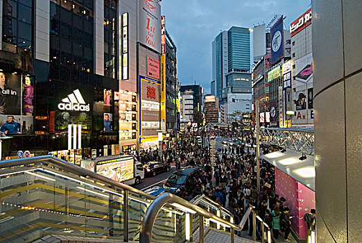 热闹街道,彩色,光亮,涩谷,东京,日本