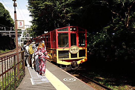 日本,京都,岚山