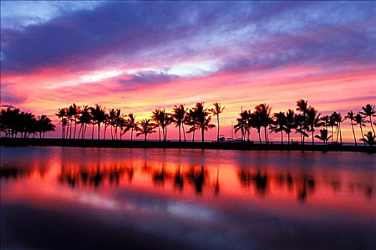 夏威夷,日落,棕榈树