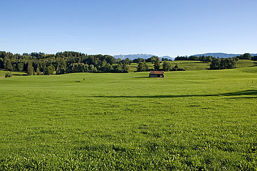 草地,巴伐利亚
