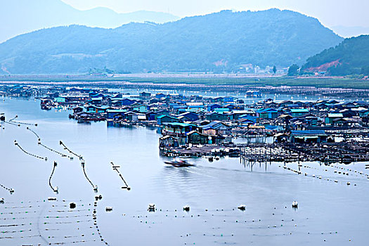 福建霞浦,渔船,养殖