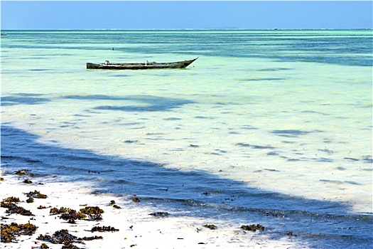 海滩,桑给巴尔岛,海草,海洋,坦桑尼亚