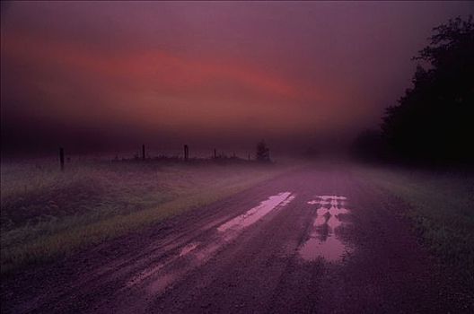 乡间小路,黎明,艾伯塔省,加拿大