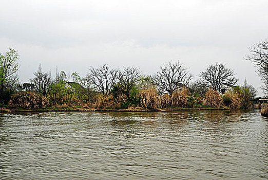 杭州西溪湿地