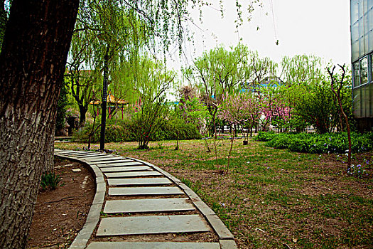 中国古典园林的石板路