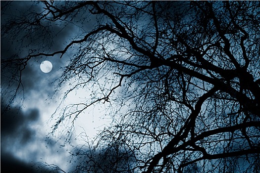 恐怖,暗色,风景,裸露,树,满月,云