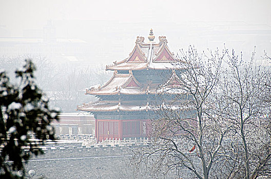 故宫冬天的景色