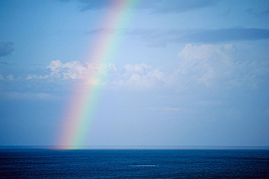 一个,彩虹,上方,海洋