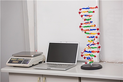 秤,电脑,基因,螺旋,书桌