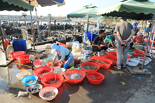 山东省日照市,中秋国庆将至,渔码头变成海鲜市场