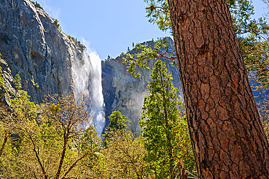 优胜美地,瀑布,国家公园,加利福尼亚