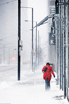 女人,走,雪中,风暴,多伦多,安大略省,加拿大