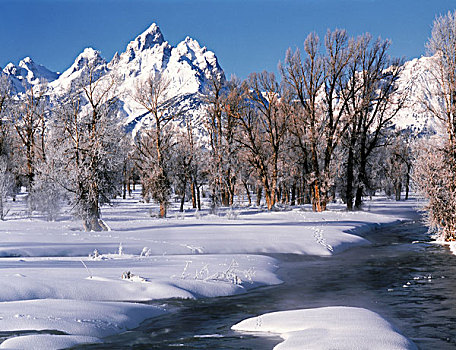美国,怀俄明,大台顿国家公园,积雪,大幅,尺寸