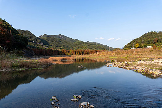 小芝红杉林,小芝红树林