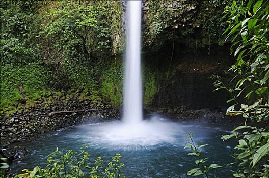 瀑布,哥斯达黎加,中美洲