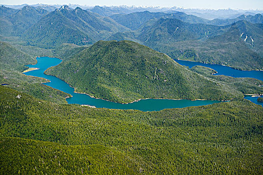 航拍,西北地区,海岸,温哥华岛,不列颠哥伦比亚省,加拿大