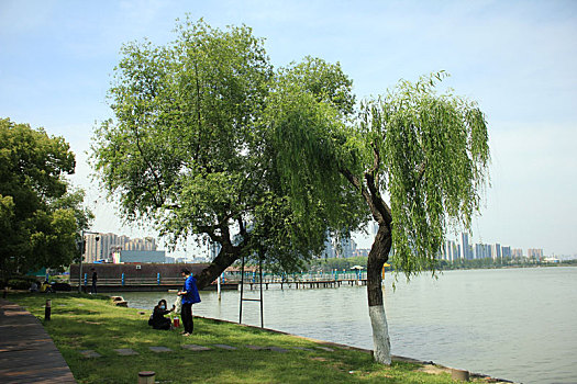 武汉东湖景区周末市民游玩组图