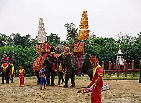 大象,表演,泰国
