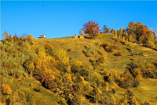 乡村,风景,罗马尼亚