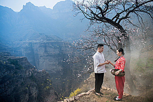 剧情,太行山,悬崖,山地,杏花,古装,摘菜,挖地