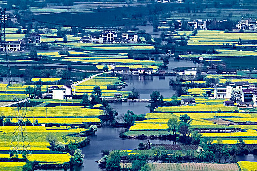 安徽省芜湖市响水涧油菜花田园乡村自然景观